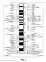 Fig. 03 - Methods for determining dysregulation of methylation of brain expressed genes on the X chromosome to diagnose autism spectrum disorders