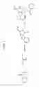 Fig. 03 - Methods for Detecting Asymmetric Dimethylarginine in a Biological Sample