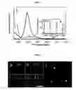Fig. 02 - Nano-sized optical fluorescence labels and uses thereof