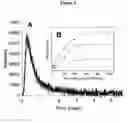Fig. 04 - Nano-sized optical fluorescence labels and uses thereof