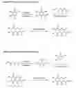 Fig. 01 - Mono-chlorinated hydroxycoumarin conjugates