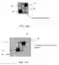 Fig. 08 - Method of manufacturing a dual contact trench capacitor