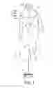 Fig. 02 - Levitatable adornment assembly