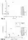 Fig. 09 - METHODS AND COMPOSITIONS FOR DIAGNOSTIC USE FOR TUMOR TREATMENT