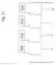 Fig. 22 - Macromolecular nucleotide compounds and methods for using the same