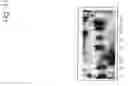 Fig. 43 - Macromolecular nucleotide compounds and methods for using the same
