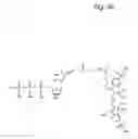 Fig. 49 - Macromolecular nucleotide compounds and methods for using the same