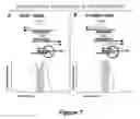 Fig. 09 - SELECTION OF NUCLEIC ACIDS BY SOLUTION HYBRIDIZATION TO OLIGONUCLEOTIDE BAITS