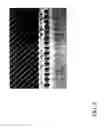 Fig. 04 - Nanochannel arrays and their preparation and use for high throughput macromolecular analysis