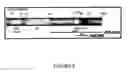 Fig. 09 - Peptide inhibitors of c-jun dimerization and uses thereof