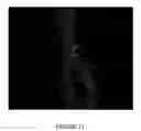 Fig. 13 - Peptide inhibitors of c-jun dimerization and uses thereof