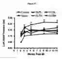 Fig. 06 - Composition and Methods for Treatment of Congestive Heart Failure