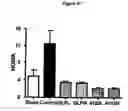 Fig. 11 - Composition and Methods for Treatment of Congestive Heart Failure