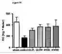 Fig. 12 - Composition and Methods for Treatment of Congestive Heart Failure