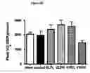 Fig. 13 - Composition and Methods for Treatment of Congestive Heart Failure