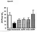 Fig. 14 - Composition and Methods for Treatment of Congestive Heart Failure