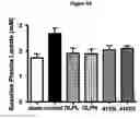 Fig. 15 - Composition and Methods for Treatment of Congestive Heart Failure