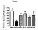 Fig. 17 - Composition and Methods for Treatment of Congestive Heart Failure