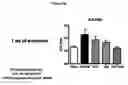 Fig. 18 - Composition and Methods for Treatment of Congestive Heart Failure