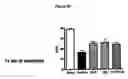Fig. 21 - Composition and Methods for Treatment of Congestive Heart Failure