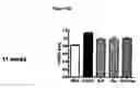 Fig. 25 - Composition and Methods for Treatment of Congestive Heart Failure