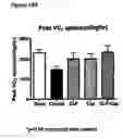 Fig. 27 - Composition and Methods for Treatment of Congestive Heart Failure