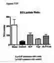 Fig. 29 - Composition and Methods for Treatment of Congestive Heart Failure