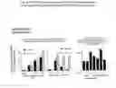Fig. 07 - hG31P Expression System