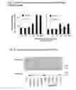 Fig. 08 - hG31P Expression System