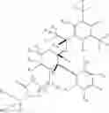 Fig. 09 - DEUTERIUM-ENRICHED FOSAPREPITANT
