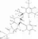 Fig. 40 - DEUTERIUM-ENRICHED FOSAPREPITANT