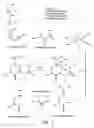 Fig. 02 - Reverse-turn mimetics and method relating thereto