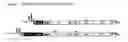 Fig. 02 - Combination Therapy For Treating Hepatitis C Infections