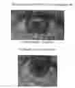 Fig. 01 - Compositions and methods for reducing activation of alpha-1 receptors