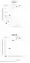 Fig. 06 - P-Glycoprotein inhibitor comprising octilonium bromide as an effective ingredient
