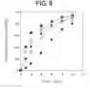 Fig. 07 - P-Glycoprotein inhibitor comprising octilonium bromide as an effective ingredient