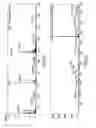 Fig. 06 - NOVEL COMPOSITIONS CONTAINING ISOLATED TETRAMERIC TYPE A PROANTHOCYANADIN AND METHODS OF USE AND MANUFACTURE