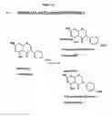 Fig. 02 - DERIVATIVES OF ISOFLAVONES