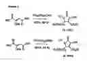 Fig. 01 - NOVEL COMPOUNDS, PHARMACEUTICAL COMPOSITIONS CONTAINING SAME, AND METHODS OF USE FOR SAME