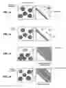 Fig. 02 - Method for producing vesicle, vesicle obtained by the production method, and method for producing frozen particle used in production of vesicle