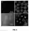 Fig. 06 - Method for producing vesicle, vesicle obtained by the production method, and method for producing frozen particle used in production of vesicle