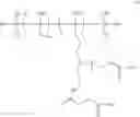 Fig. 20 - Gelling agents and gelatinous compositions