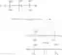 Fig. 05 - Multifunctional silicone resin polymers