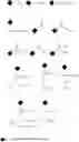 Fig. 31 - Anion-binding polymers and uses thereof
