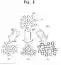 Fig. 02 - COATED NANOPARTICLES AND METHOD FOR COATING NANOPARTICLES