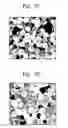 Fig. 04 - COATED NANOPARTICLES AND METHOD FOR COATING NANOPARTICLES