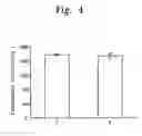 Fig. 07 - COATED NANOPARTICLES AND METHOD FOR COATING NANOPARTICLES