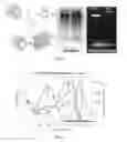 Fig. 06 - Fluorogenic compounds converted to fluorophores by photochemical or chemical means and their use in biological systems