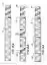Fig. 08 - Electrical lead