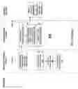Fig. 04 - End-to-end secure payment processes